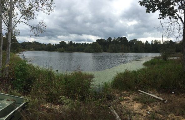 431 Us Hwy 431, Eufaula, AL 36027